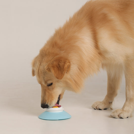 Lick-a-lot: Enrichment Lickdome