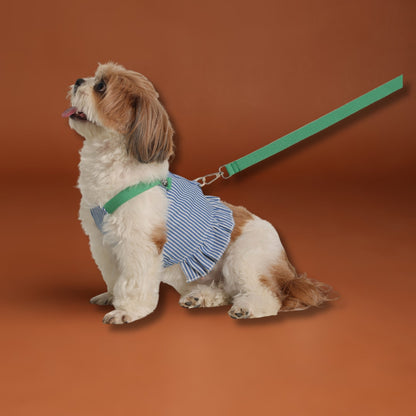 Tee leash