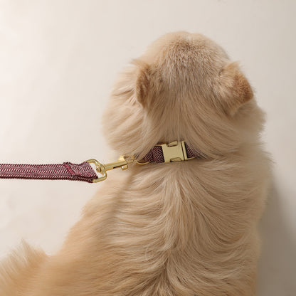 The Signature Collar