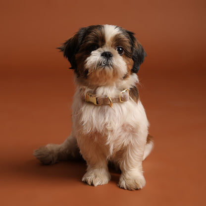 The Signature Collar