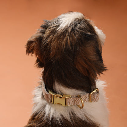 The Signature Collar
