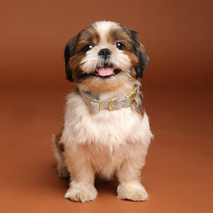 The Signature Collar