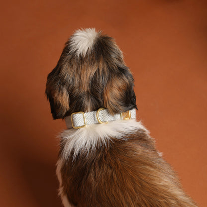 The Signature Collar