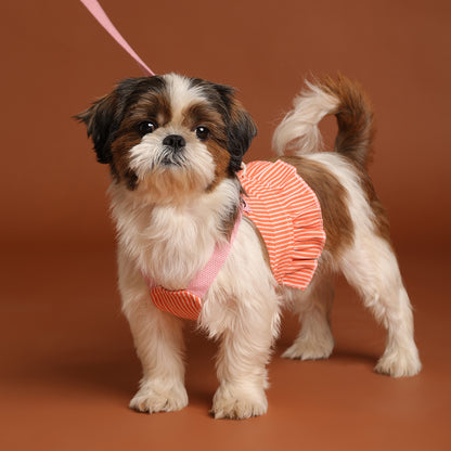 Tee leash