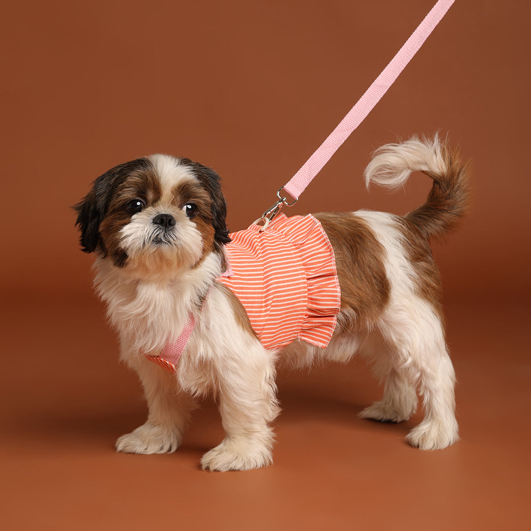 Tee leash