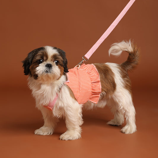 Tee leash