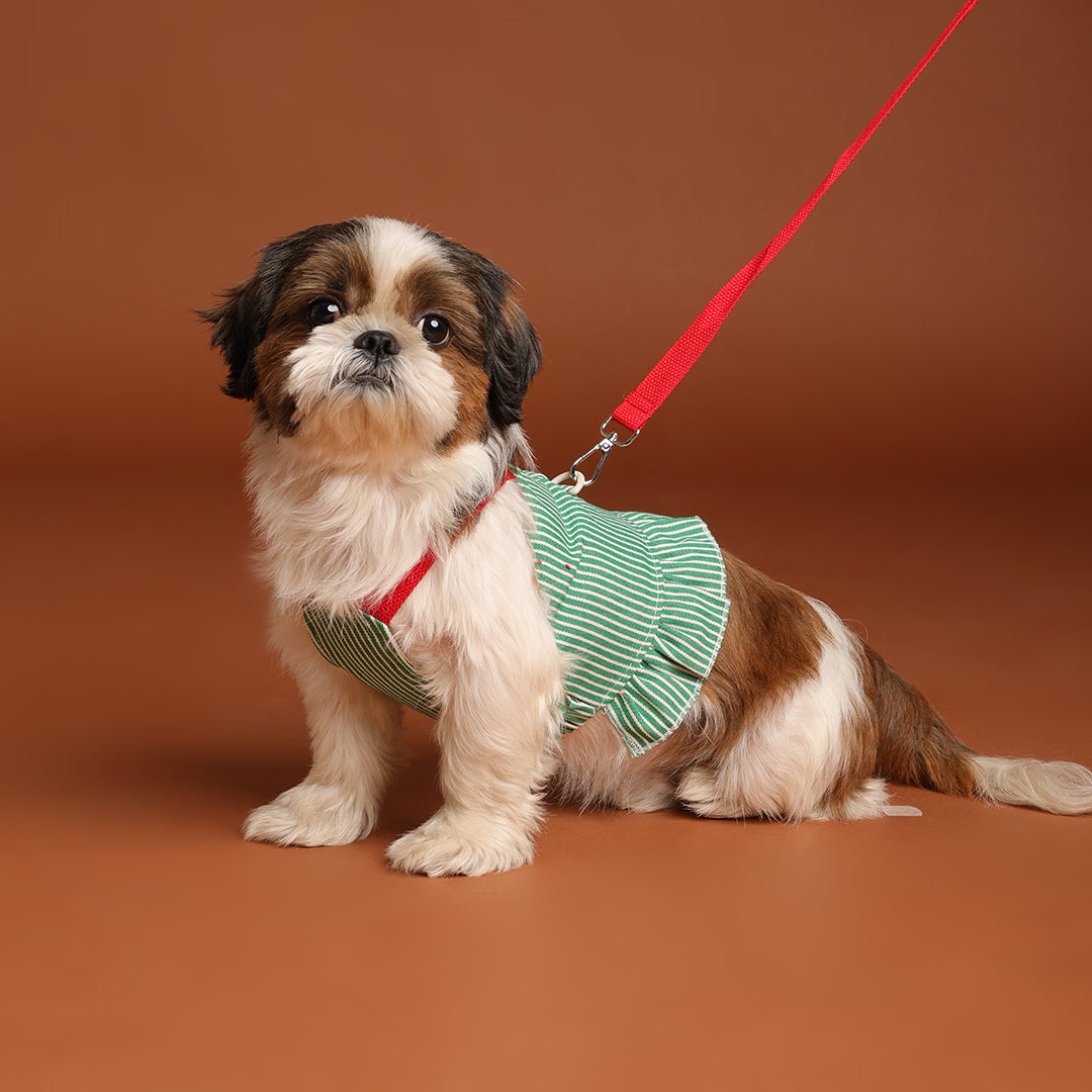 Tee leash