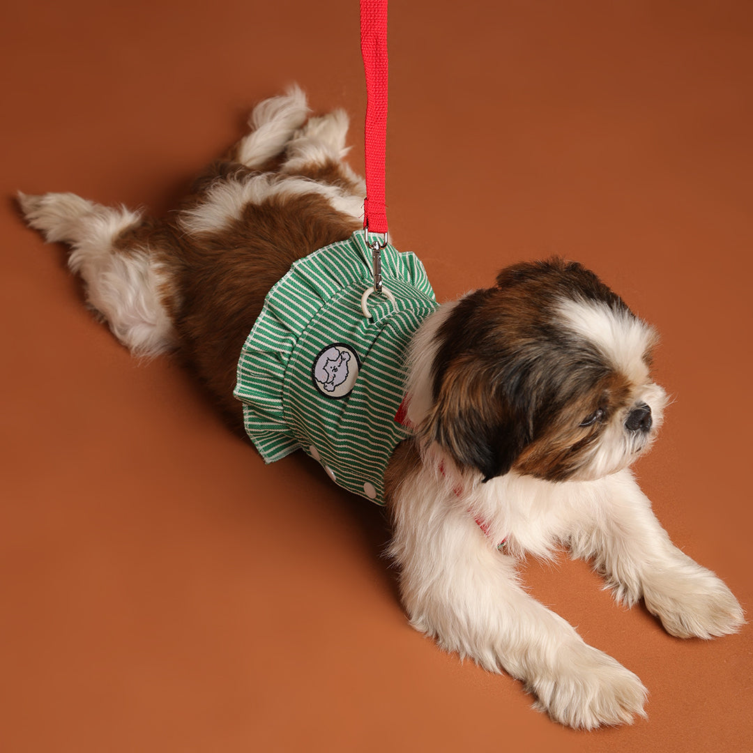 Tee leash