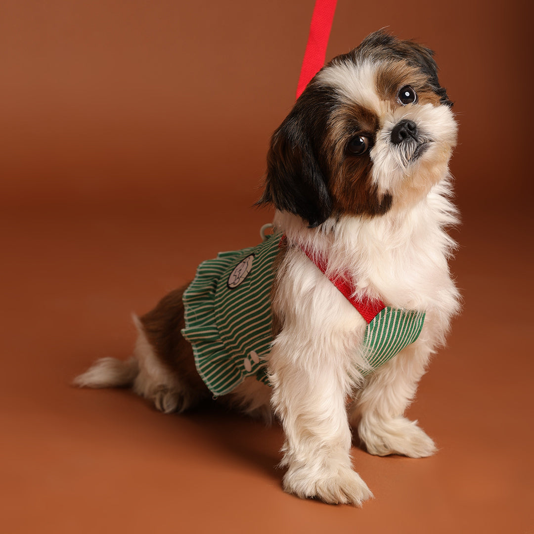 Tee leash