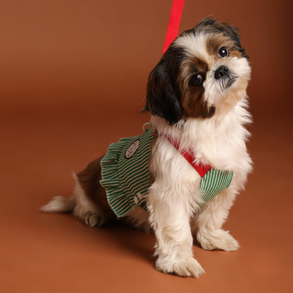 Tee leash