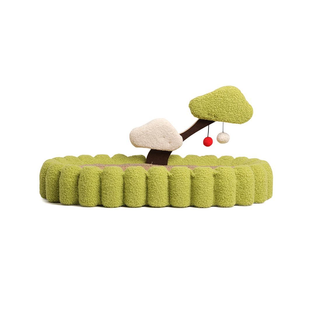 Snooze & Scratch Toy 6