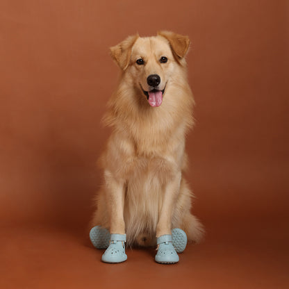 Dog Shoe 3