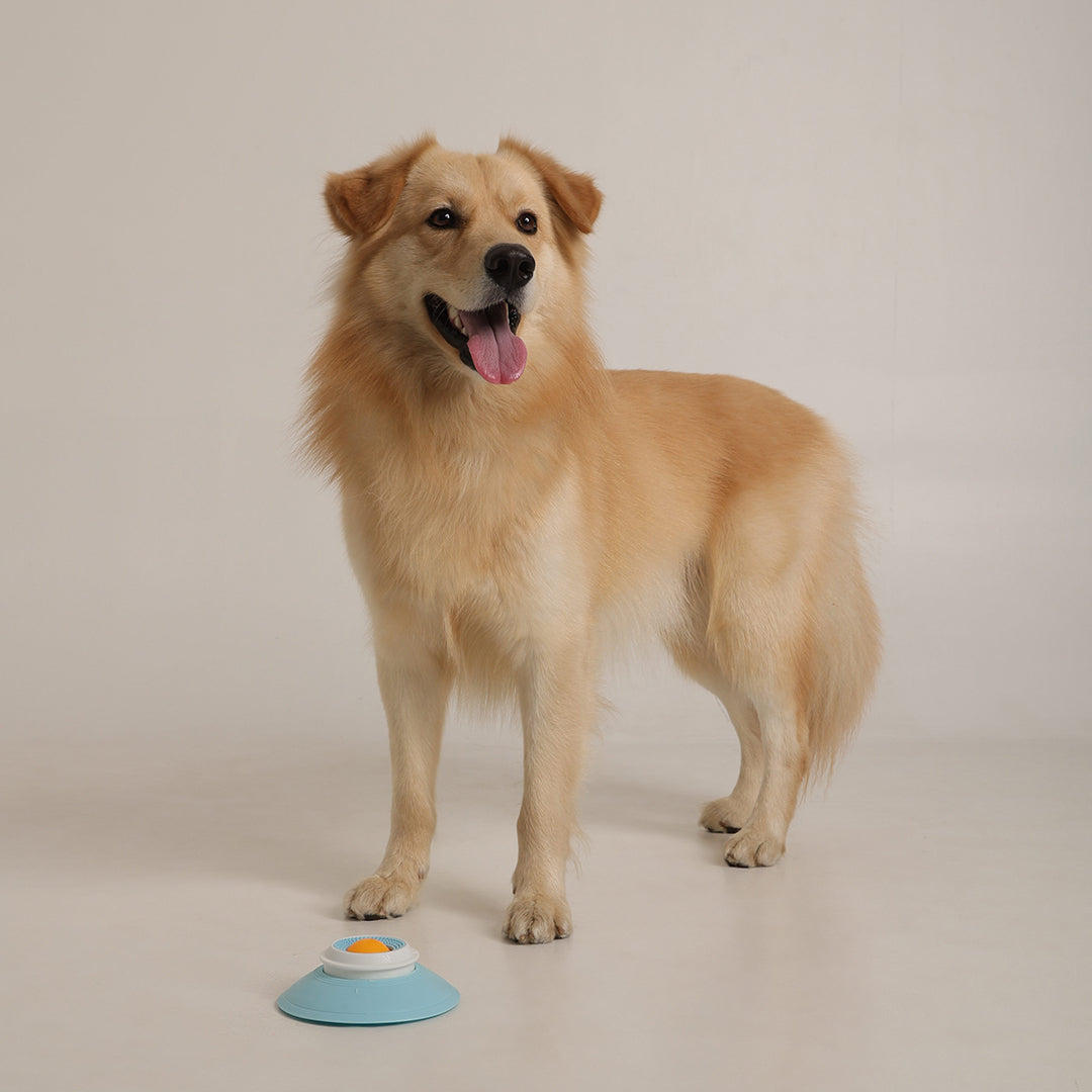 Dog and Cat Licking toy 3