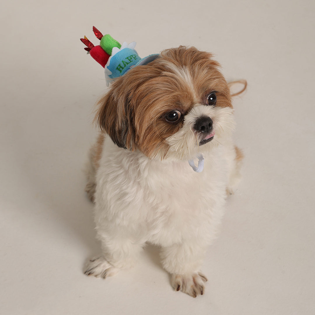 Birthday Cap