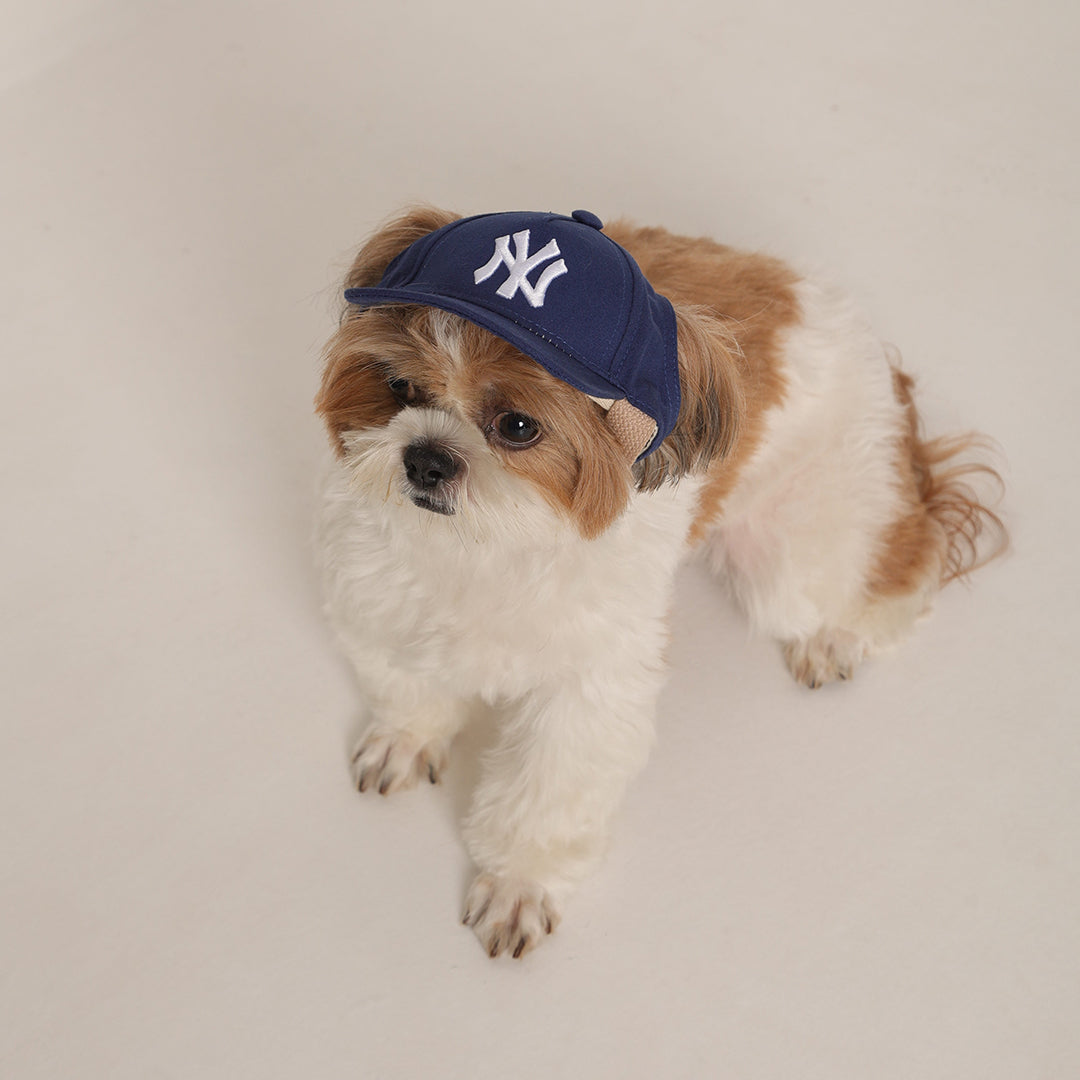 Dog Cap 1