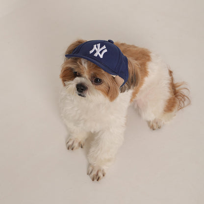 Dog Cap 1