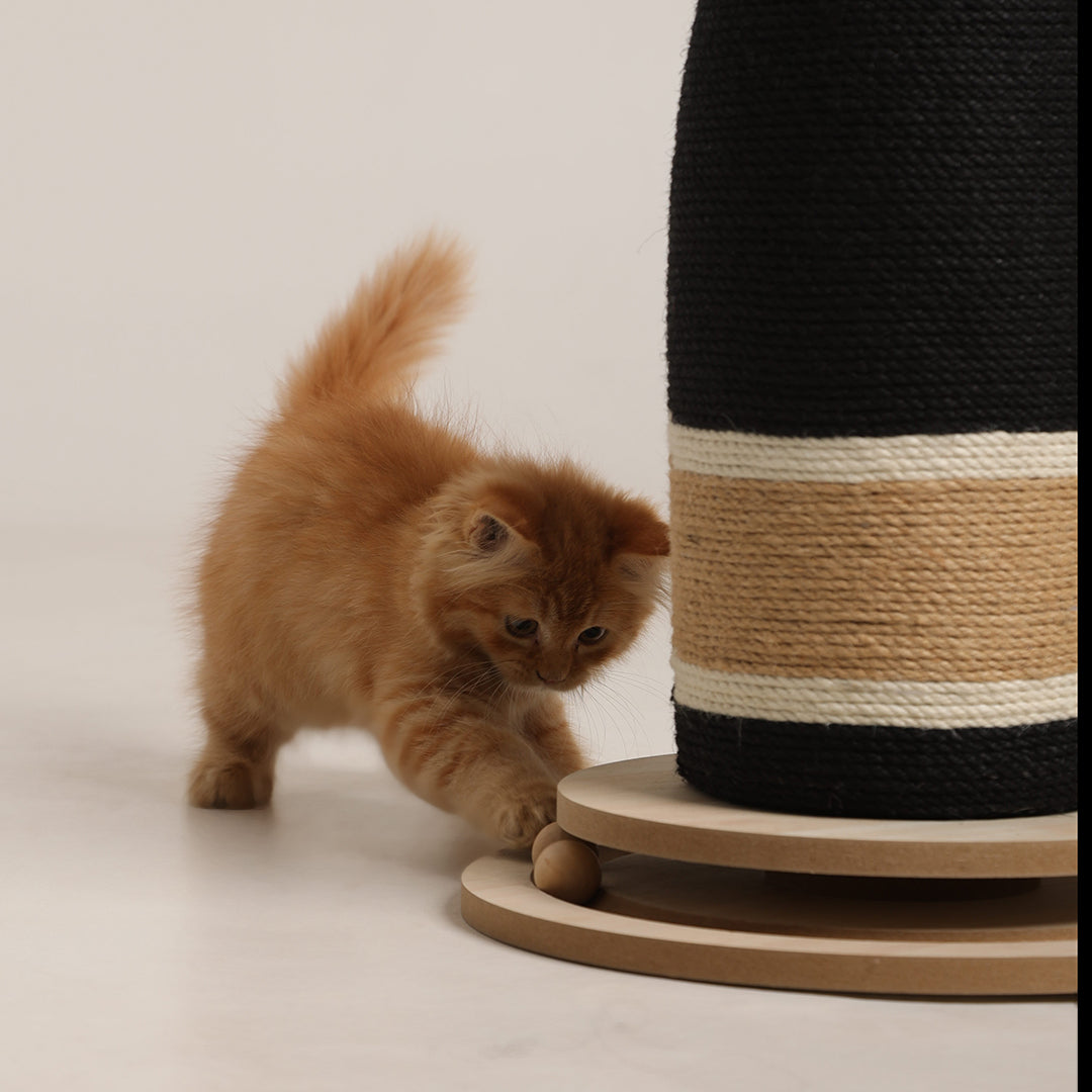 Cat Scratcher 4
