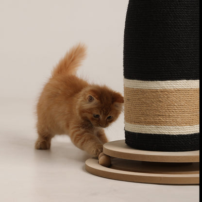 Cat Scratcher 4