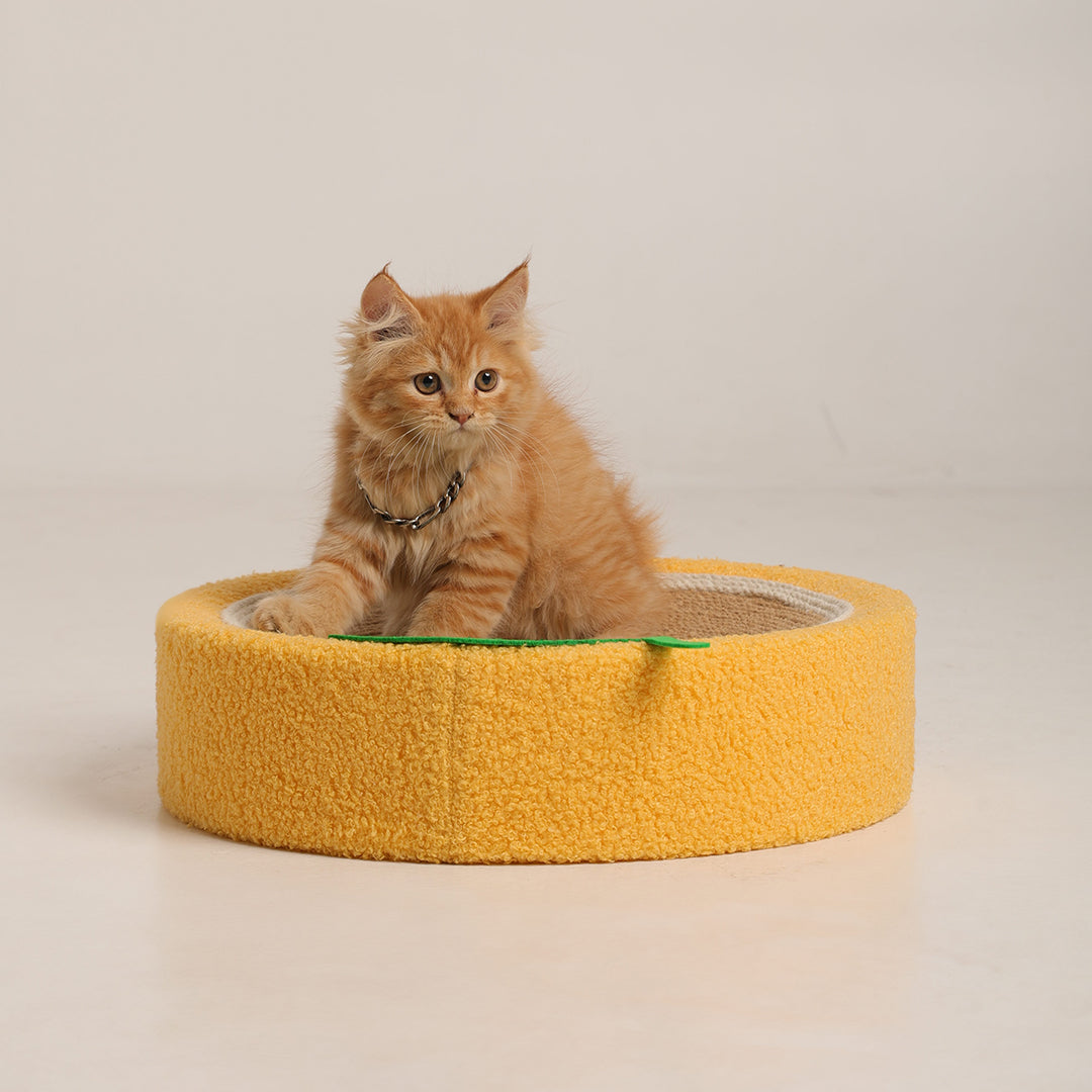 Limon - Snooze & Scratch