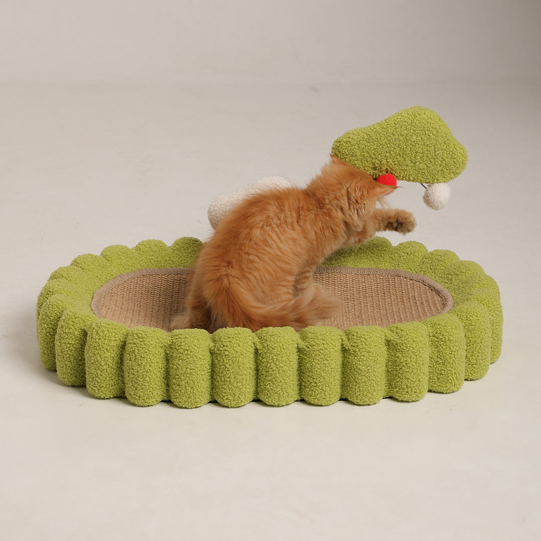 Snooze & Scratch Toy 4