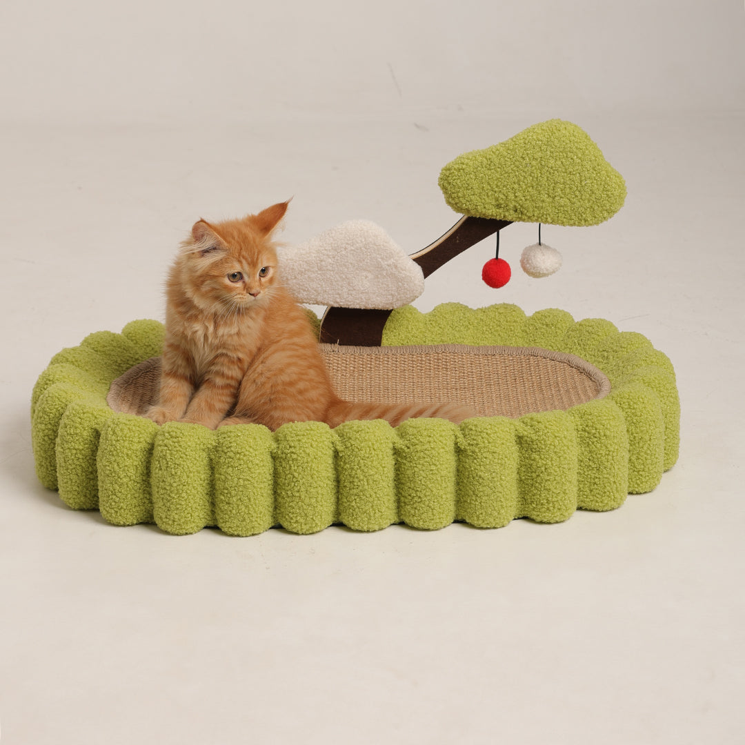 Snooze & Scratch Toy