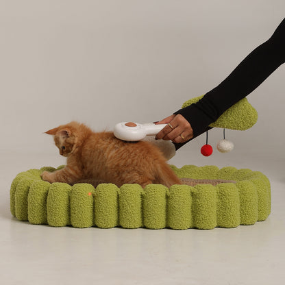 Snooze & Scratch Toy 5