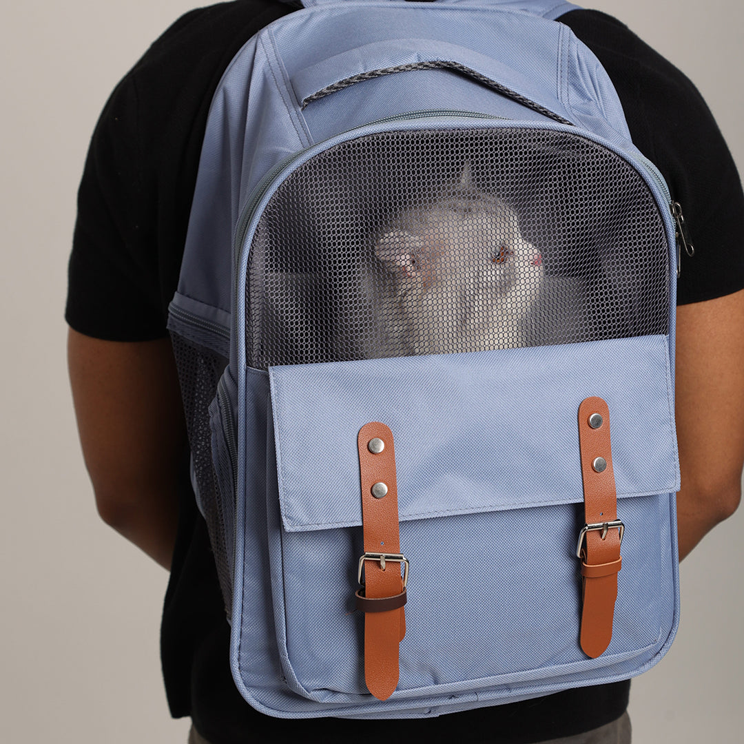 Carrier Bagpack 2