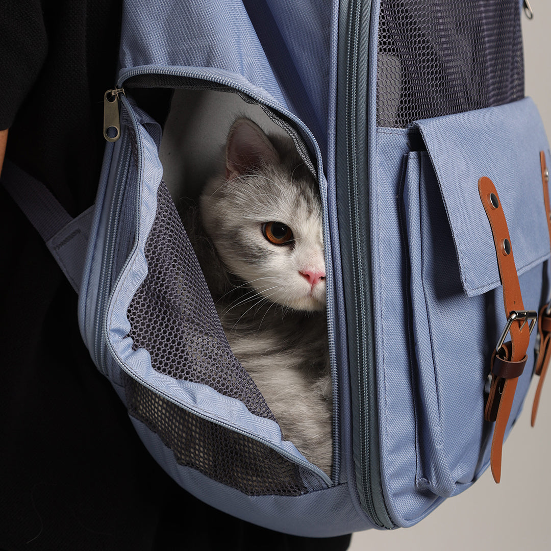 Carrier Bagpack