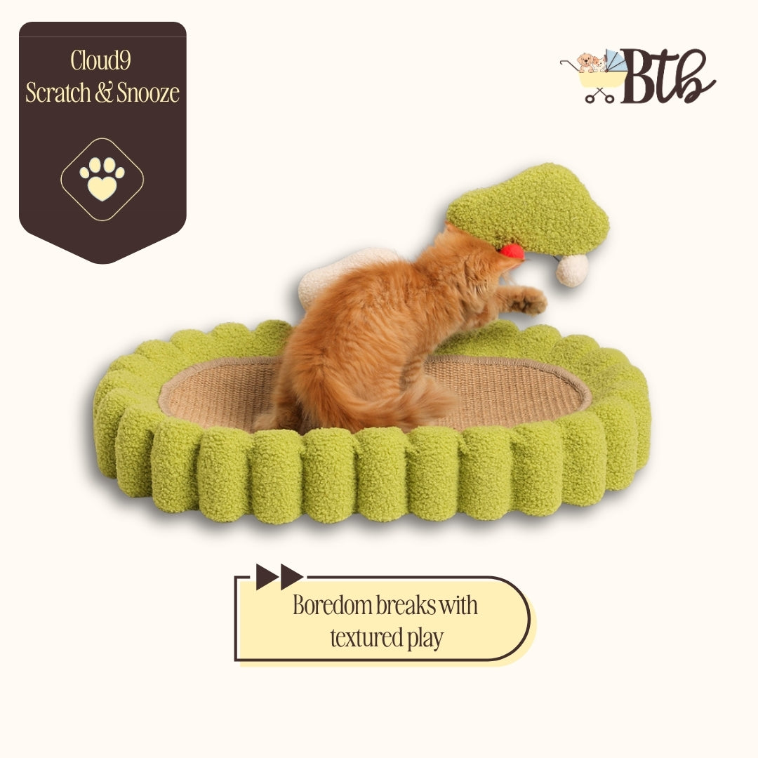 Snooze & Scratch Toy 10