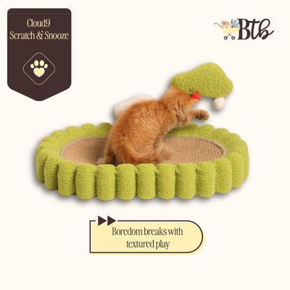 Snooze & Scratch Toy 10