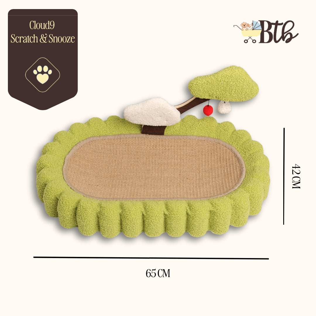 Snooze & Scratch Toy 9